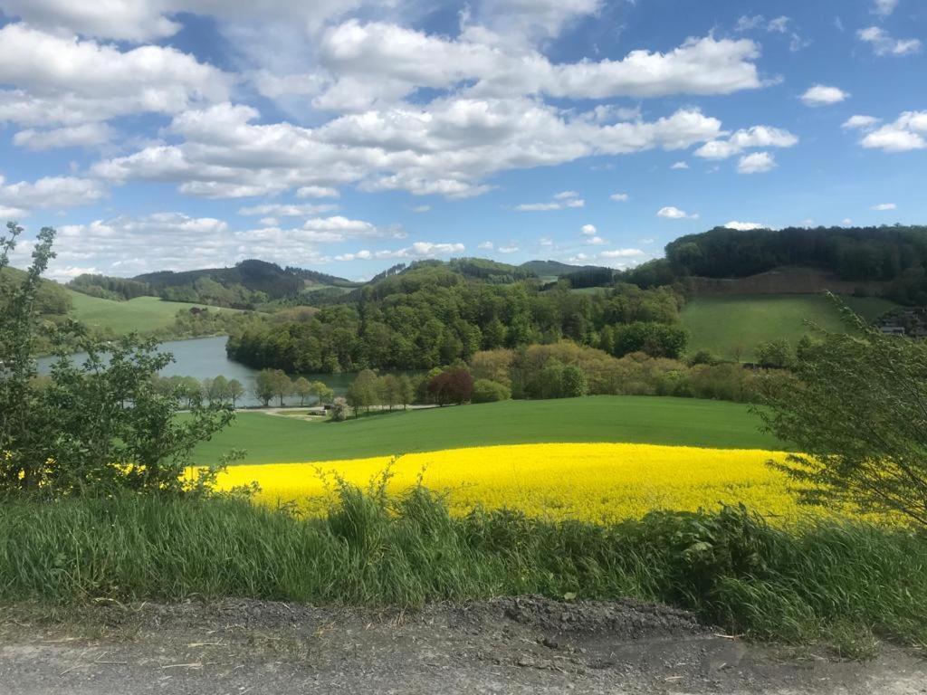 משדה Haus Am Hennesee מראה חיצוני תמונה
