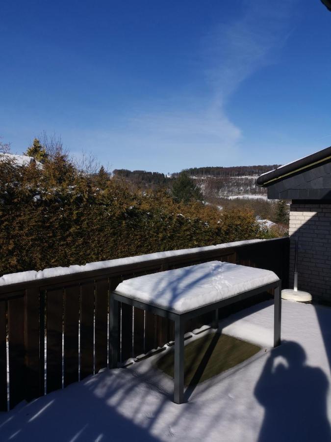 משדה Haus Am Hennesee מראה חיצוני תמונה